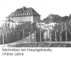 Weinreben am Hauptgebäude, 1930er Jahre