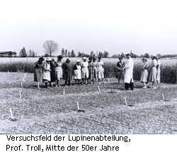 Versuchsfeld Lupinenabteilung