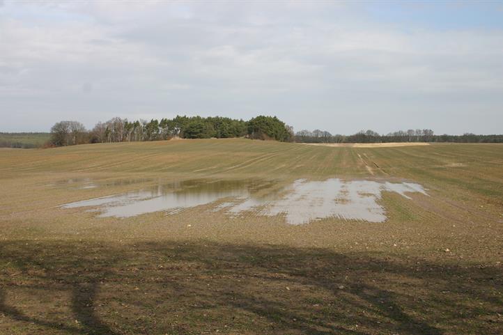 Bildunterschrift: Winter wheat field after heavy rainfall: erosion and loss of yield due to waterlogging – the EMRA project collects reports of damage to agriculture caused by extreme weather conditions.  The image is released for editorial reporting purposes provided the source of the image is given: © Detlef Deumlich, ZALF. 