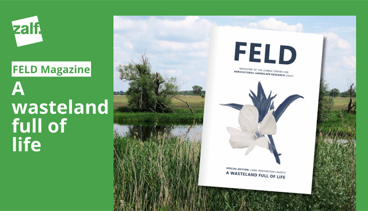 Feld Issue 1 2025 engl. 