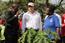 The delegation from Germany was presented with various innovations implemented in the village of Chinoje. Pictured: A papaya plant as part of the school garden project.  © Hendrik Schneider / ZALF