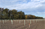  The WIR! Alliance Land Innovation Lausitz (LIL) is developing new land use concepts for Lusatia, a region dominated by open-pit mining. In the photo: Landscape experiment for the cultivation of truffles.  © Babette Münzenberger / ZALF