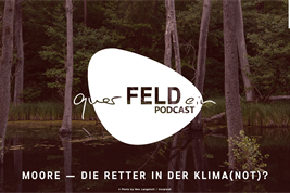 Cover der Podcastfolge zum Thema Moore