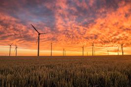 Getreidefeld mit Windkraftanlagen bei Sonnenuntergang