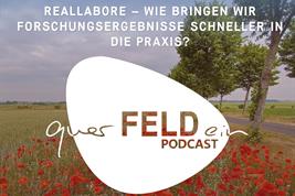 Cover zur Podcast-Folge über Reallabore