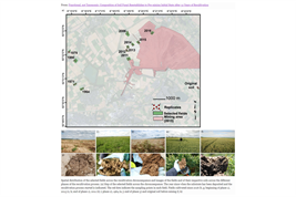 Soil fungal community across a 52-year chronosequence of soil recultivation