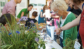 Lange Nacht der Wissenschaften am 11. Juni 2016