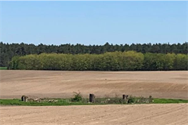 Agrarlandschaft Foto: Julia Schoof