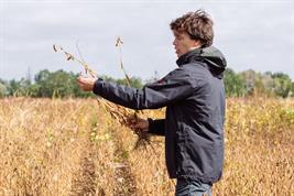 Dr. Moritz Reckling auf einem Feld mit Leguminosen