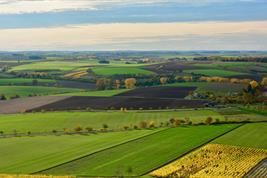 Agrarlandschaft