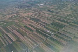 In Serbien sind kleine Familienbetriebe und landwirtschaftliche Strukturen typisch, im Durchschnitt bewirtschaftet ein Agrarbetrieb 6,4 ha