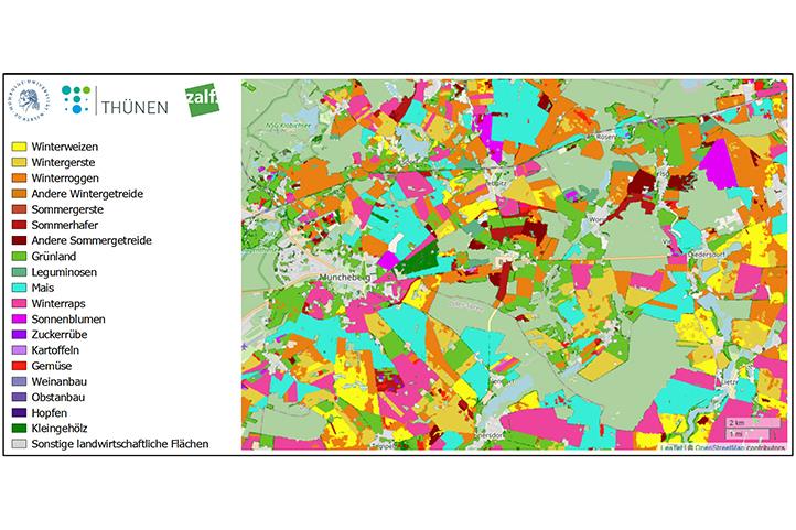 Kartenausschnitt mit einer Übersicht der landwirtschaftlichen Nutzung der Agrarflächen aus Fernerkundungsdaten rund um Müncheberg 2017 | Quelle: © HU Berlin, ZALF, Thünen-Institut.