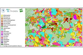 Soja- und Lupinen-Feldtag am 21. Juli 2016