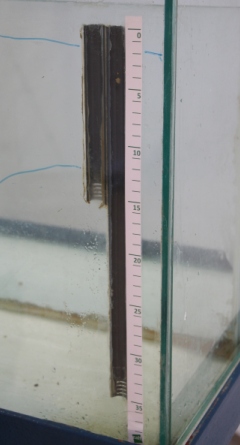 Construction of the gauges in the model