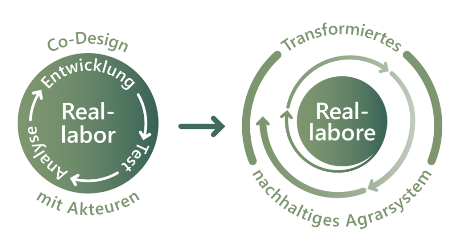 Grafik Reallabore